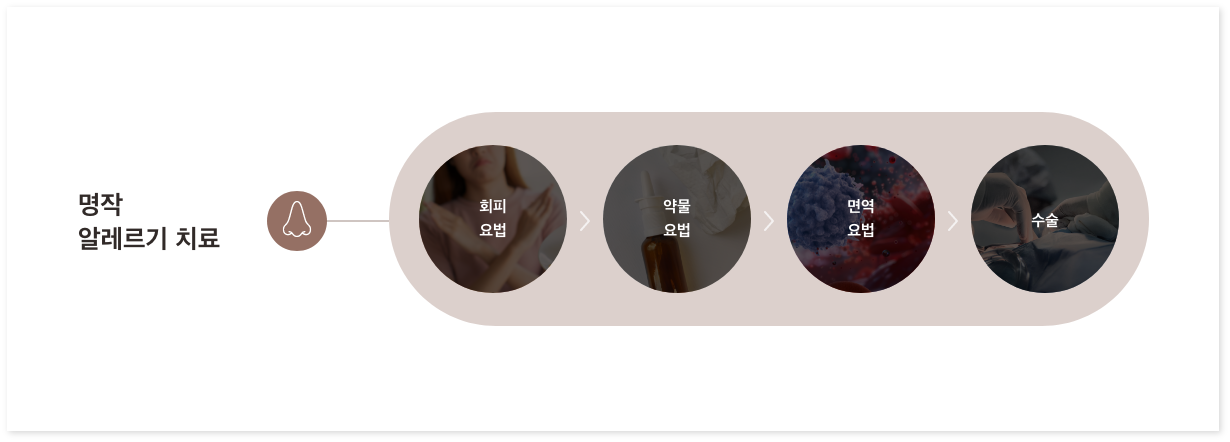 명작 이비인후과 알레르기 치료 프로세스