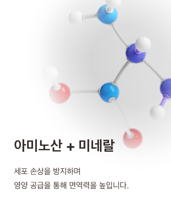 아미노산 + 미네랄 - 세포 손상을 방지하며 영양 공급을 통해 면역력을 높입니다.
